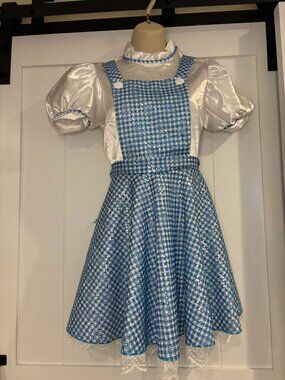 Rubie’s Dorothy costume from the Wizard of Oz. Size child's large